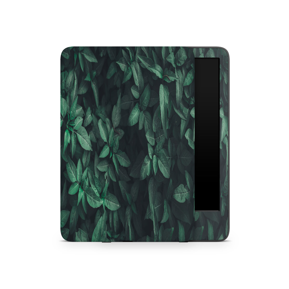 Evergreen (Kindle Skin)
