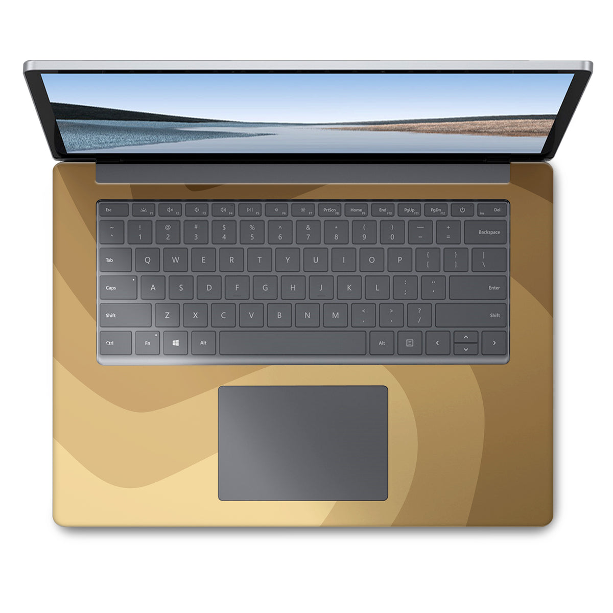 Fossil (Surface Laptop Skin)