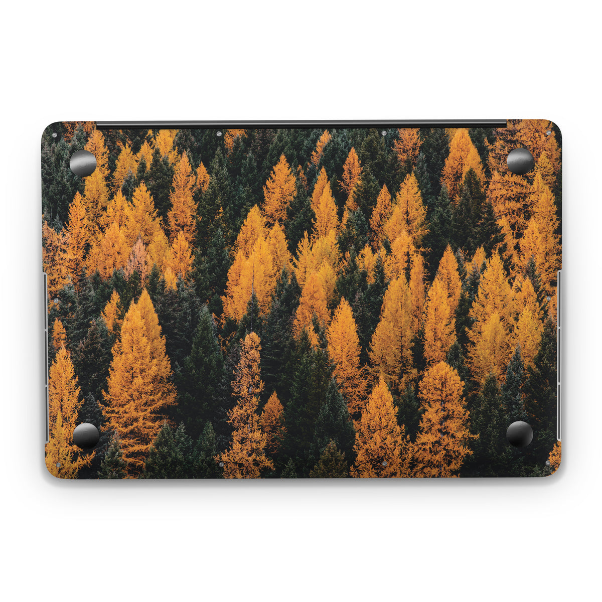 Blaze (MacBook Skin)