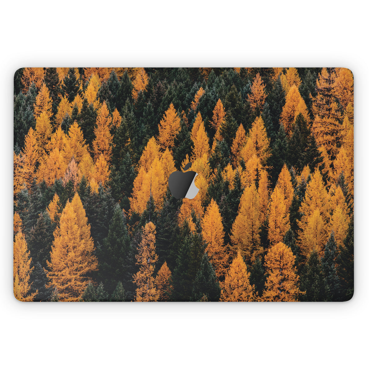 Blaze (MacBook Skin)