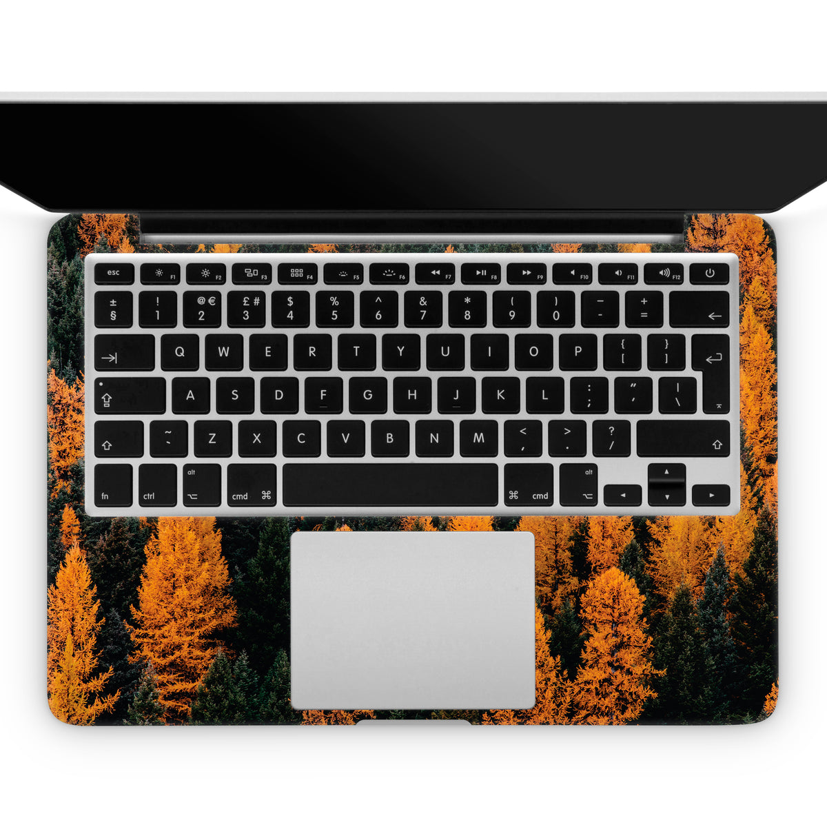 Blaze (MacBook Skin)