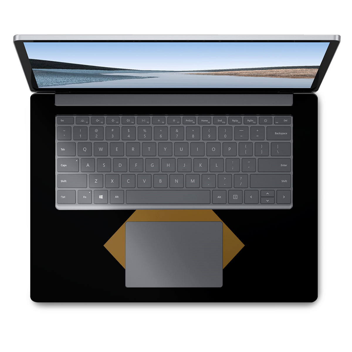 Bronson (Surface Laptop Skin)