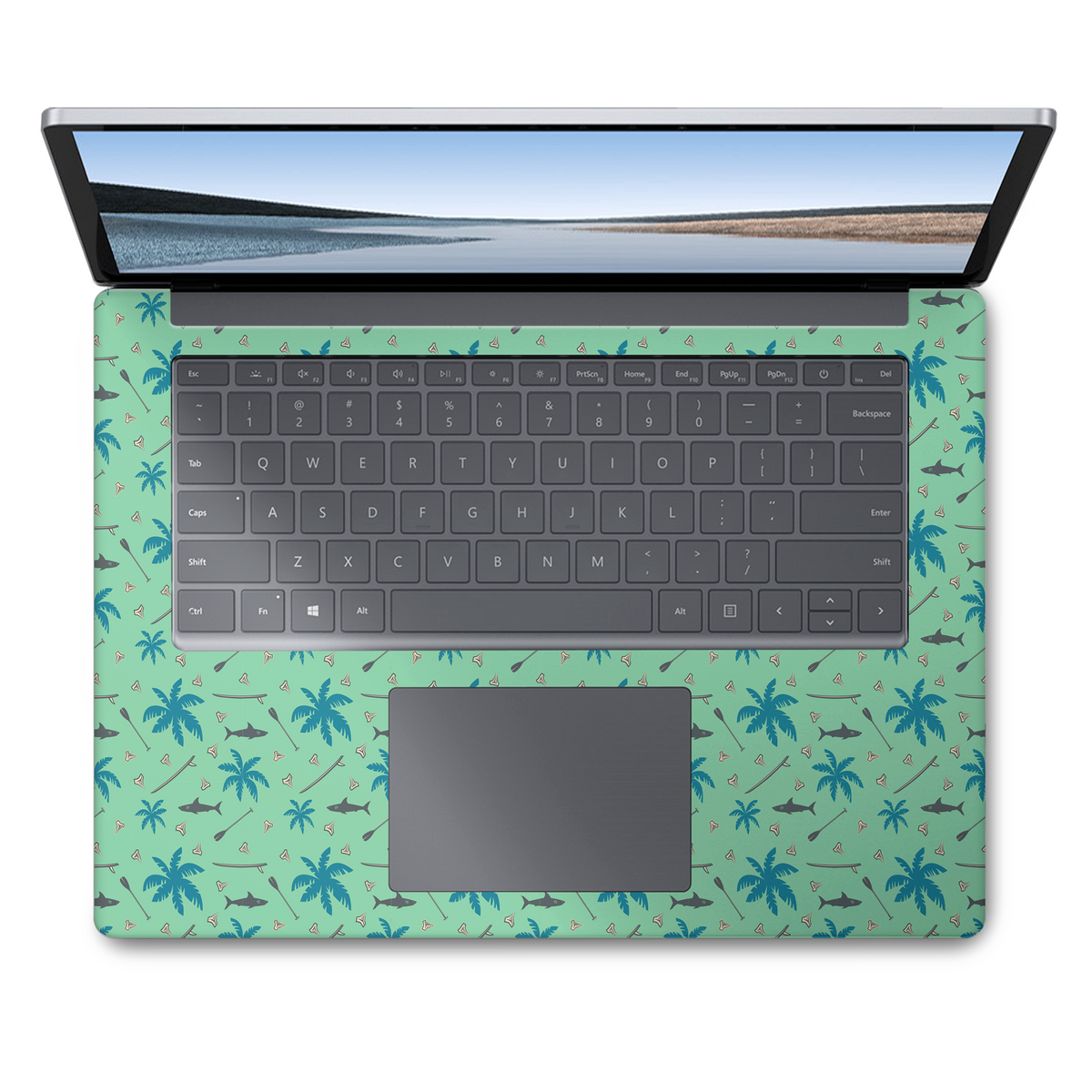 Catalina (Surface Laptop Skin)