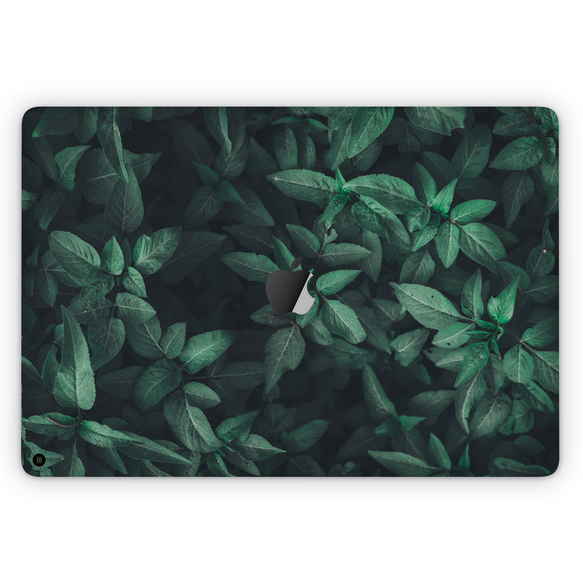 Evergreen (MacBook Skin)