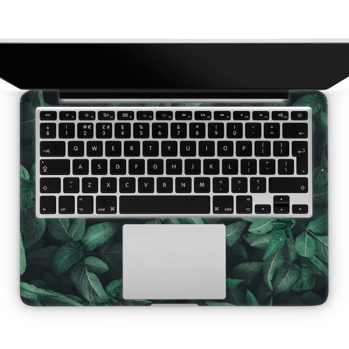Evergreen (MacBook Skin)