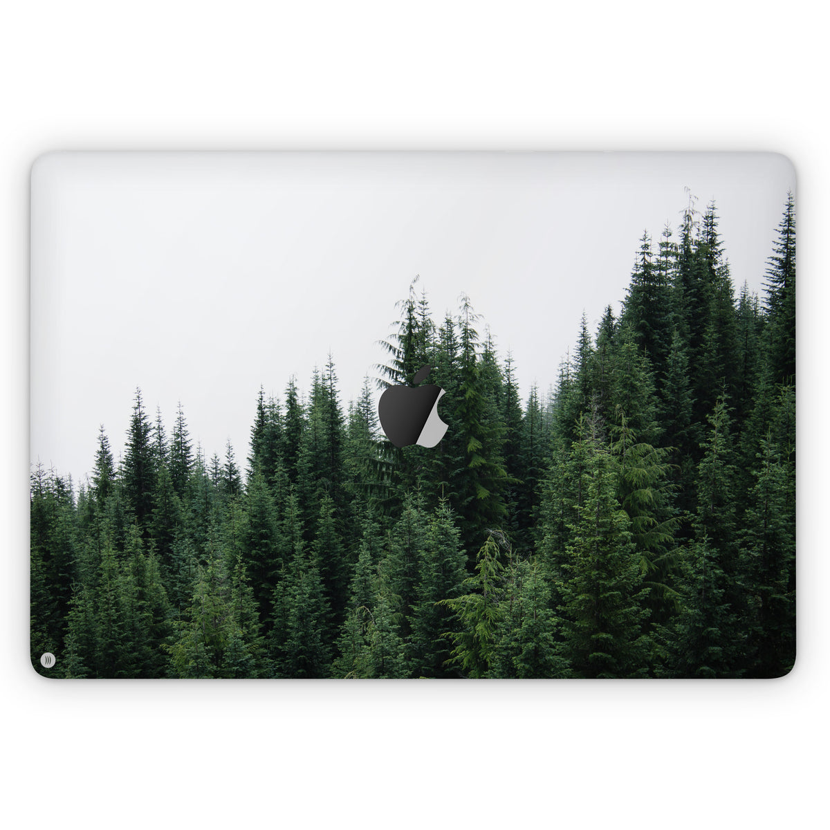 Alpine (MacBook Skin)