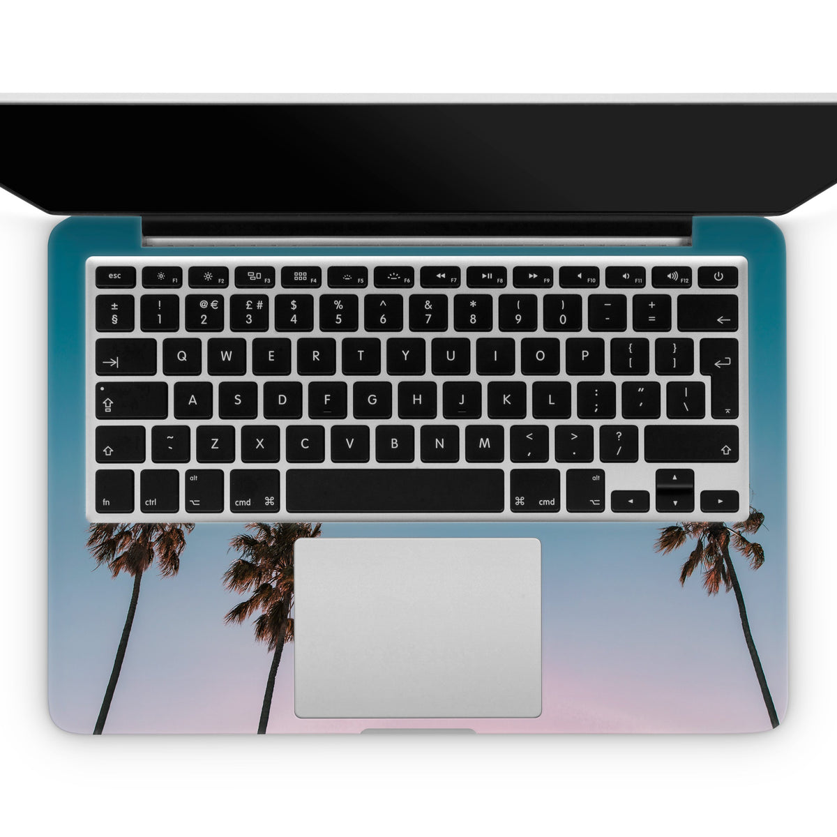 Ventura (MacBook Skin)