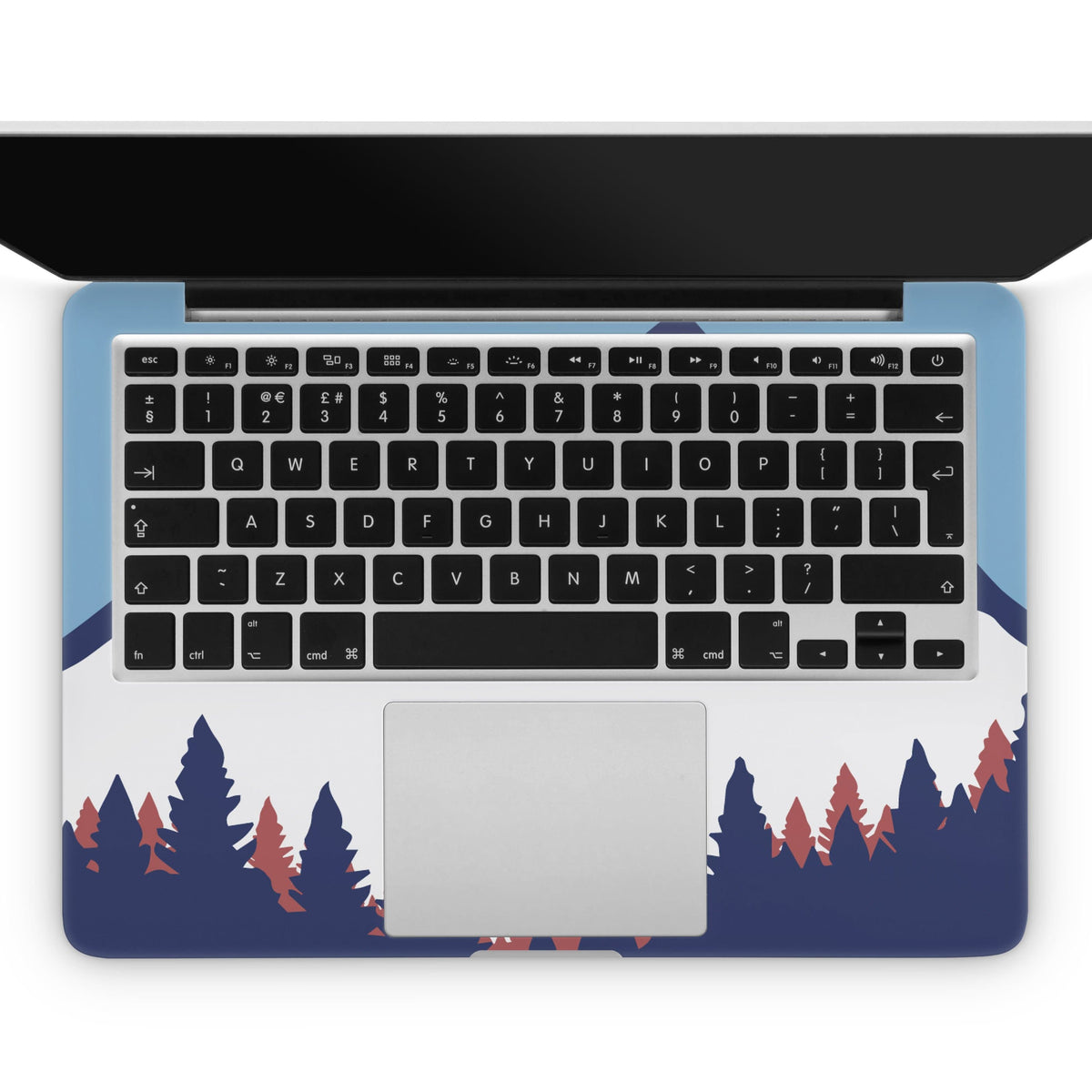 Snowbird (MacBook Skin)