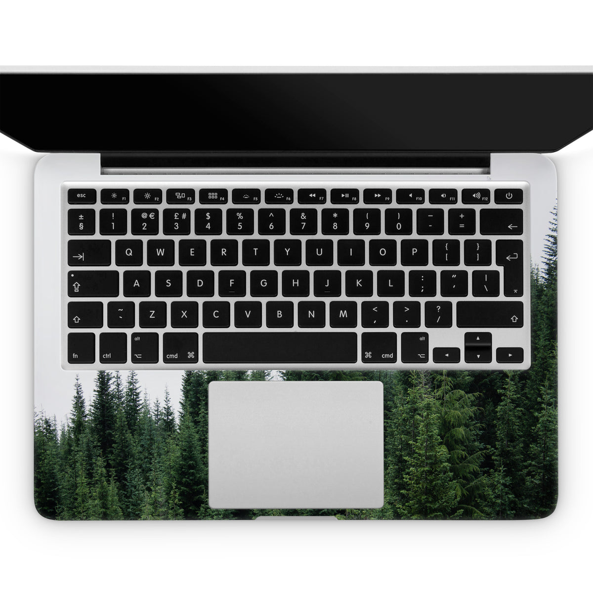 Alpine (MacBook Skin)